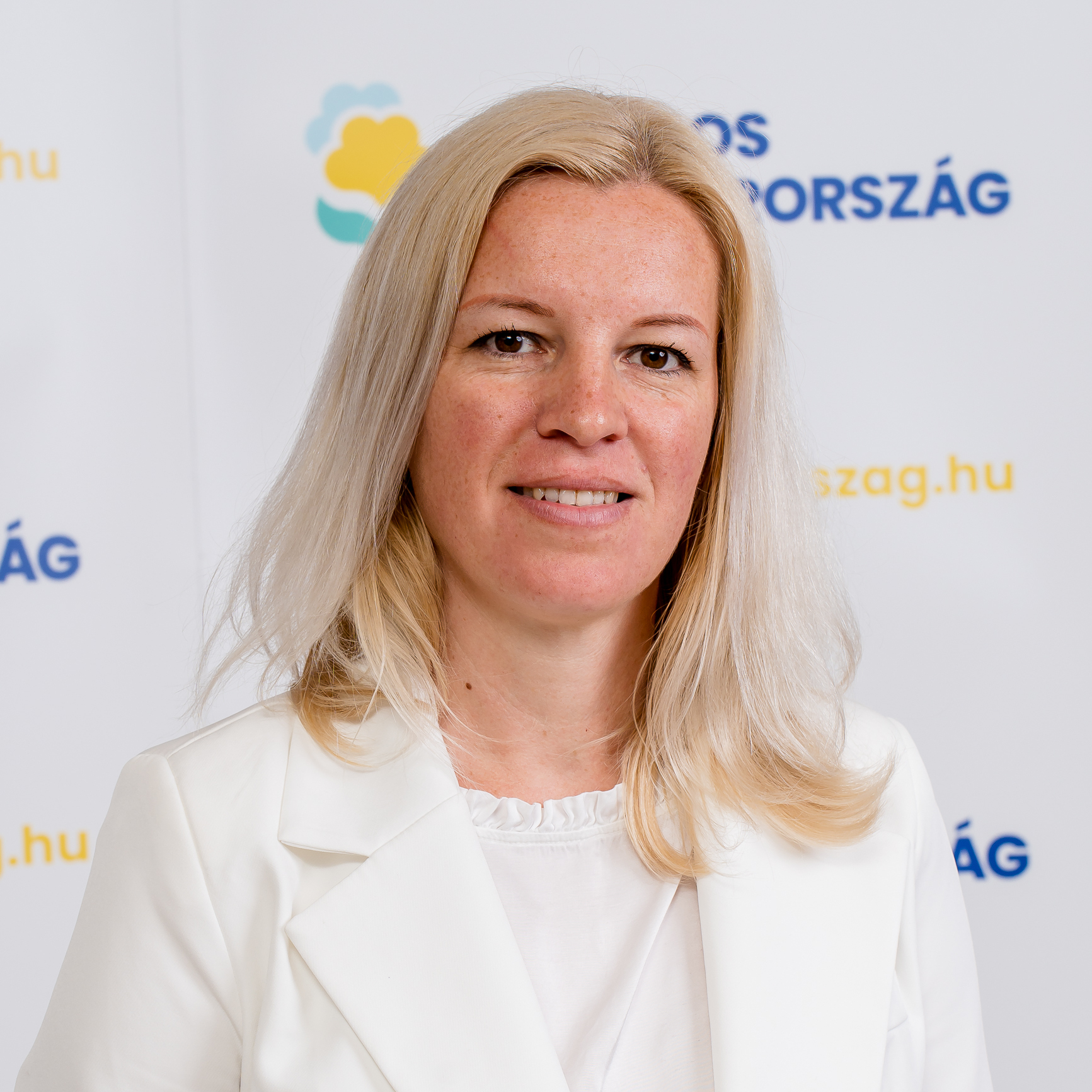 ügyvezető, településfejlesztő, turisztikai szakértő