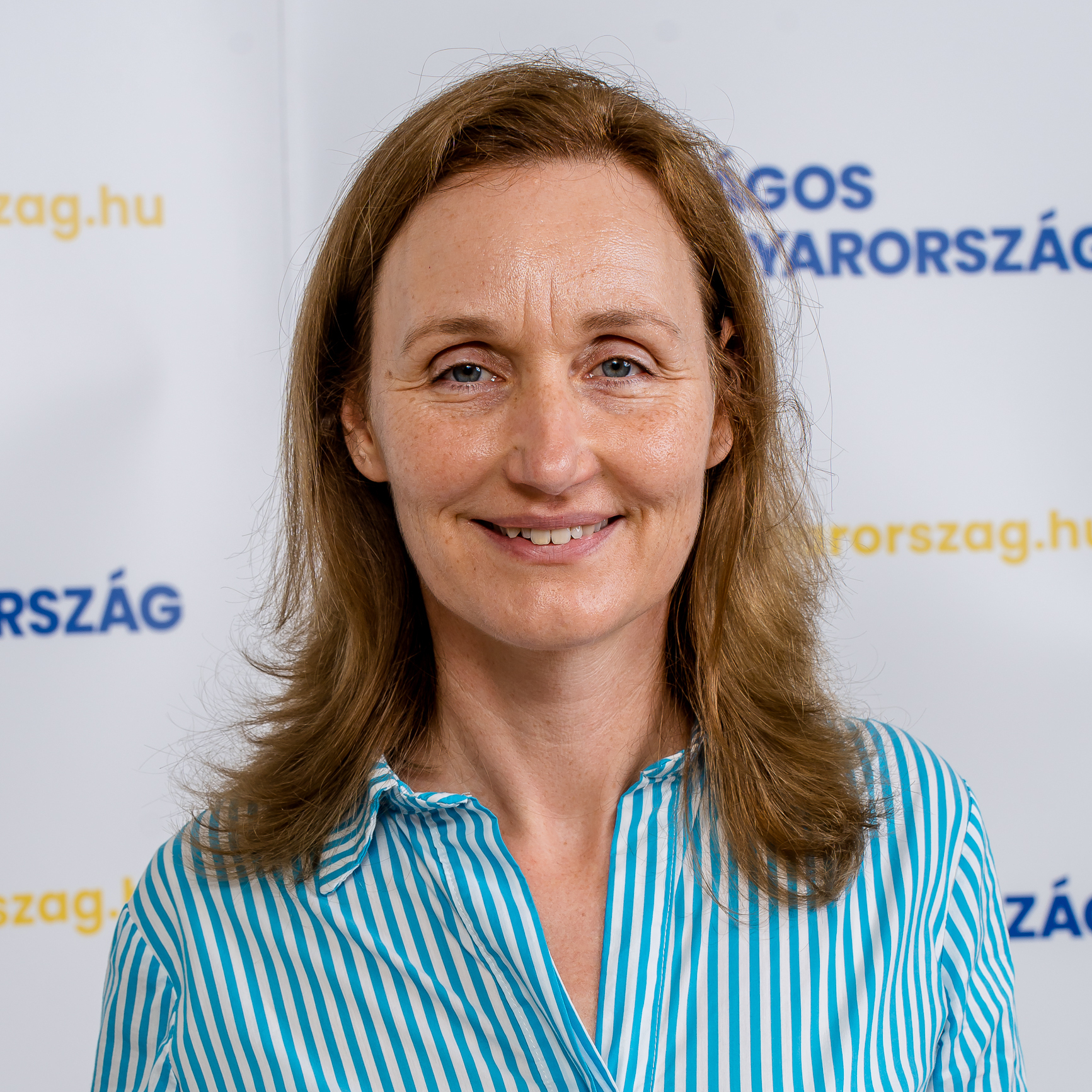 közlekedési divízió vezető