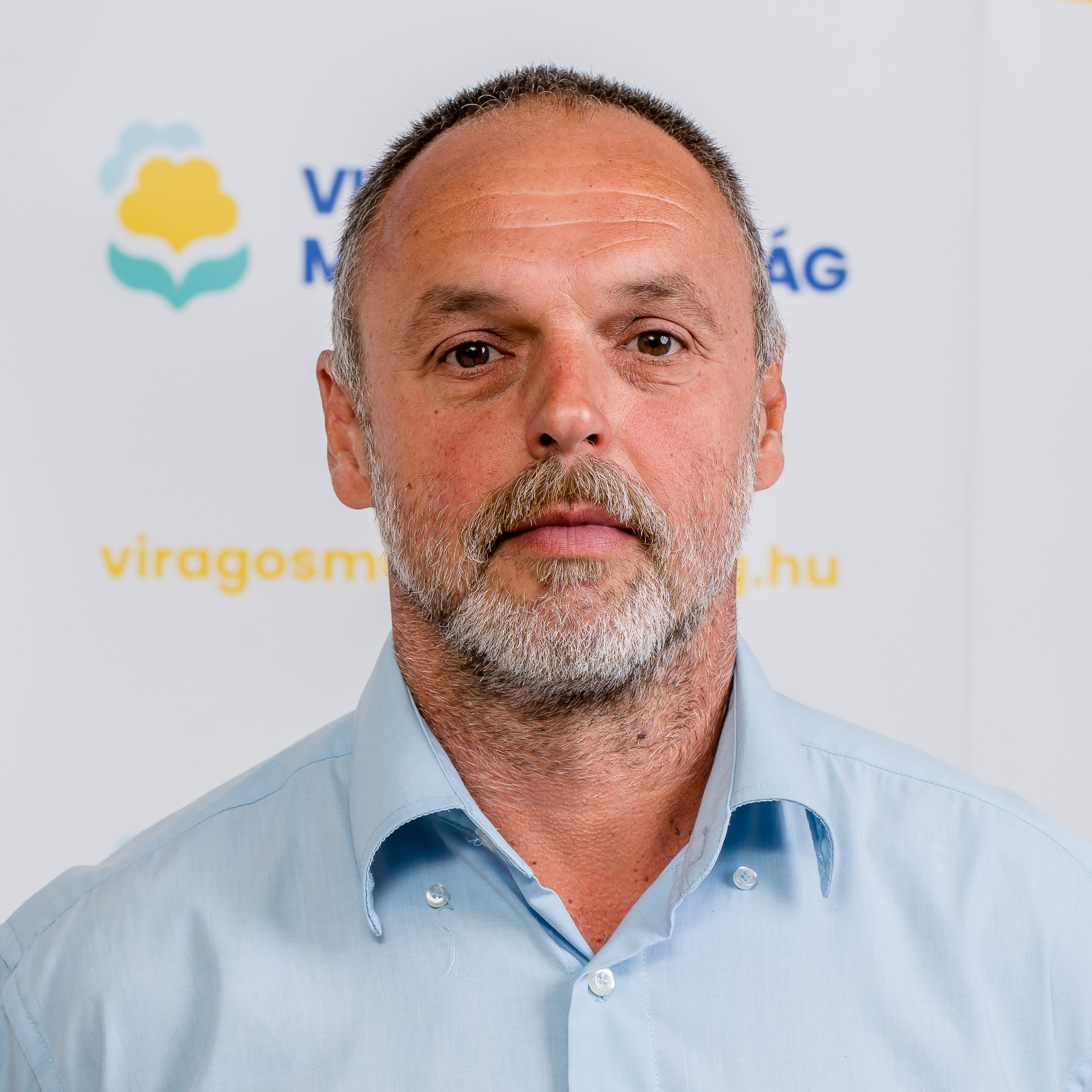 Projekt vezető