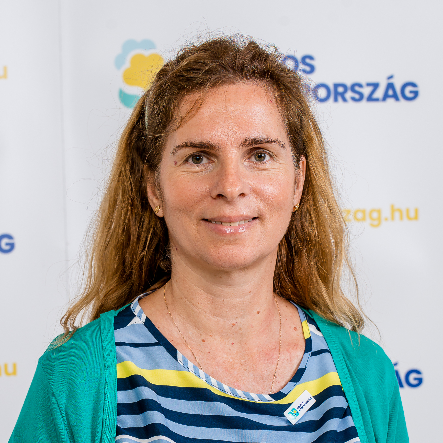 igazgatósági főmunkatárs