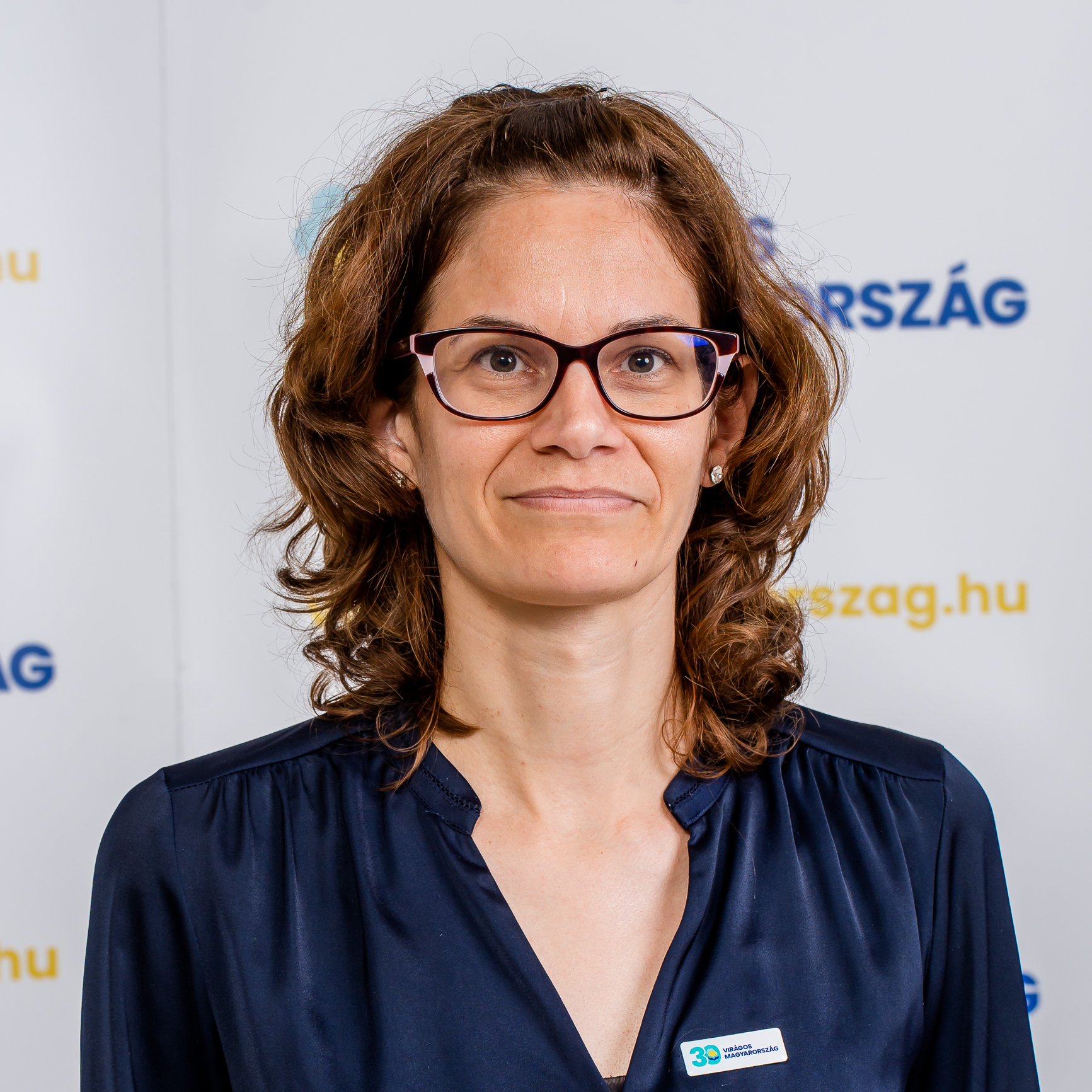 Tervező