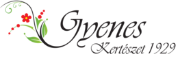 GYENES KERTÉSZET