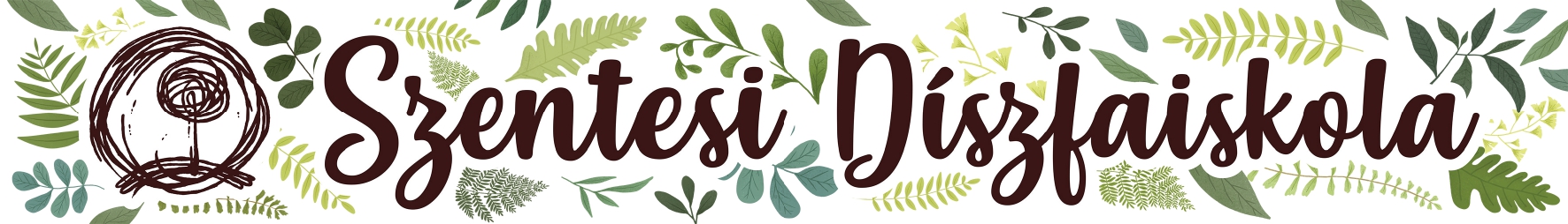 SZENTESI DÍSZFAISKOLA