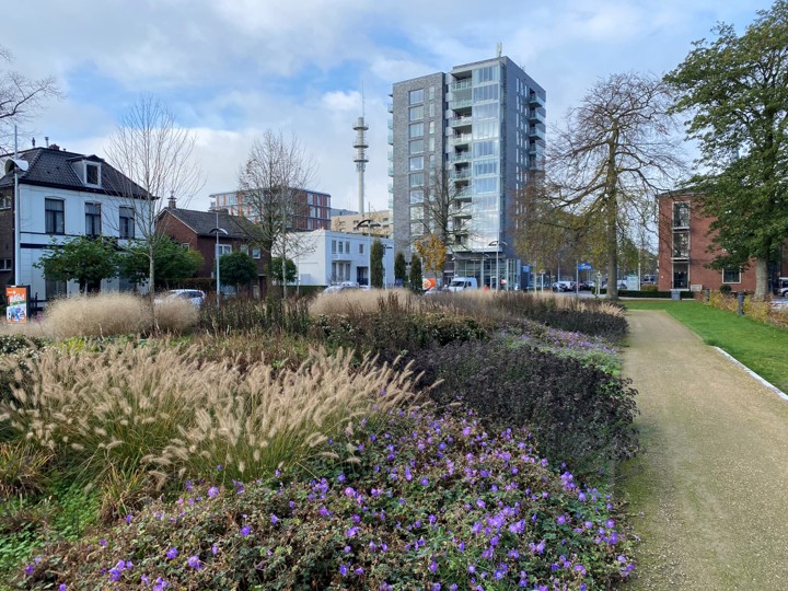 Climate resistant plants - design, planting, maintenance