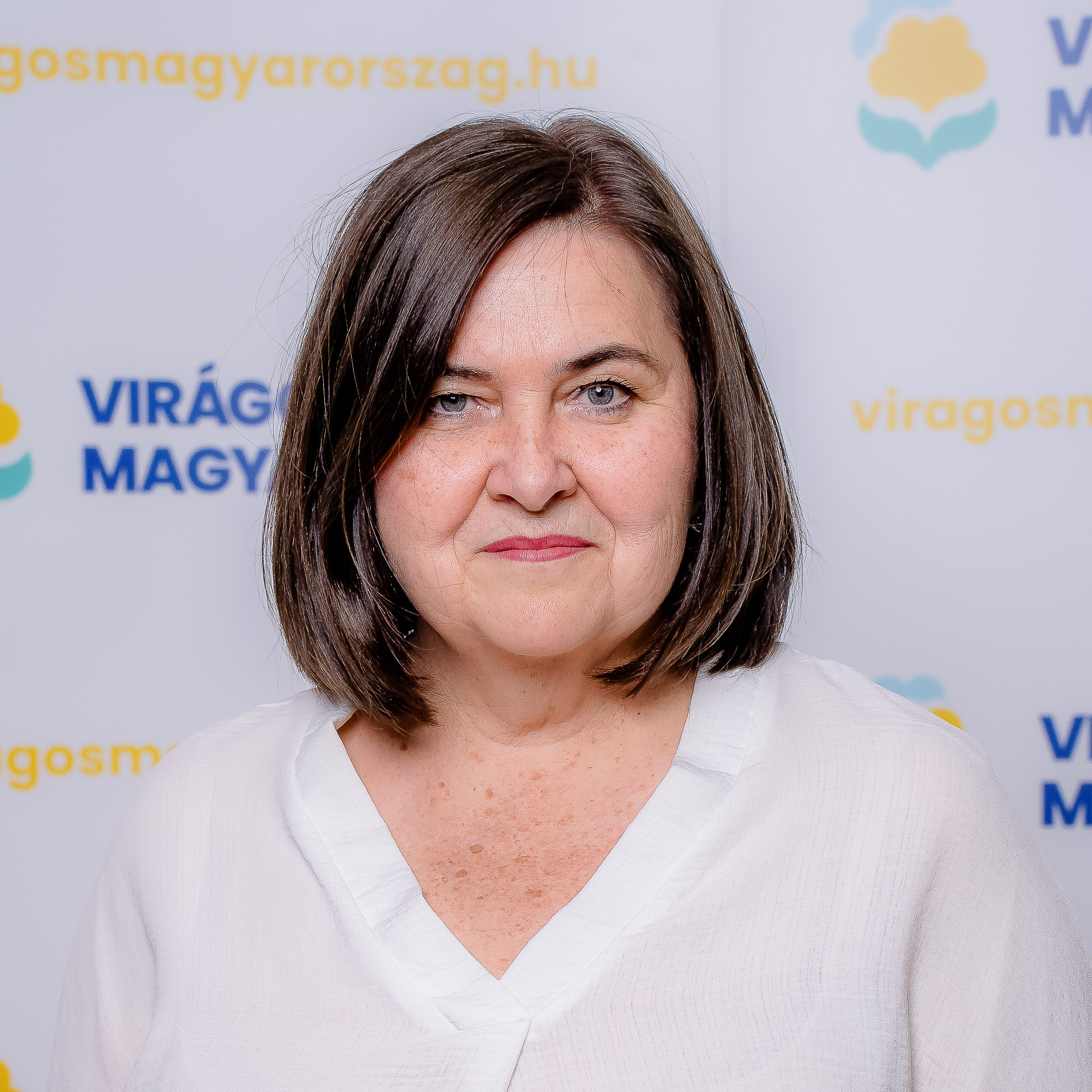 Ügyvezető ig., a Szervező Biz. alelnöke, VMO területi vezető