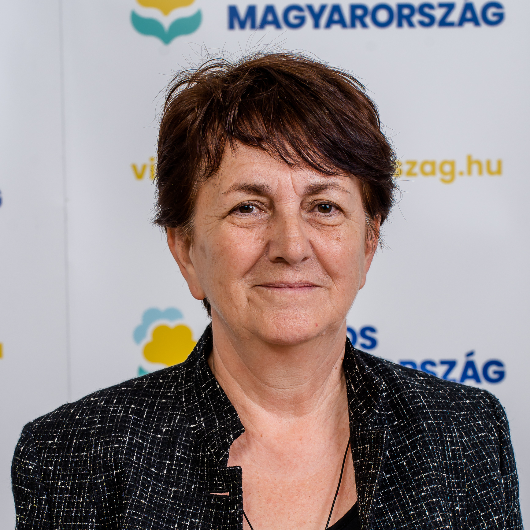 Zöldfelületi ügyintéző